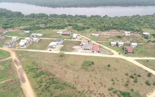 Terrain de 300m² de Bonabéri