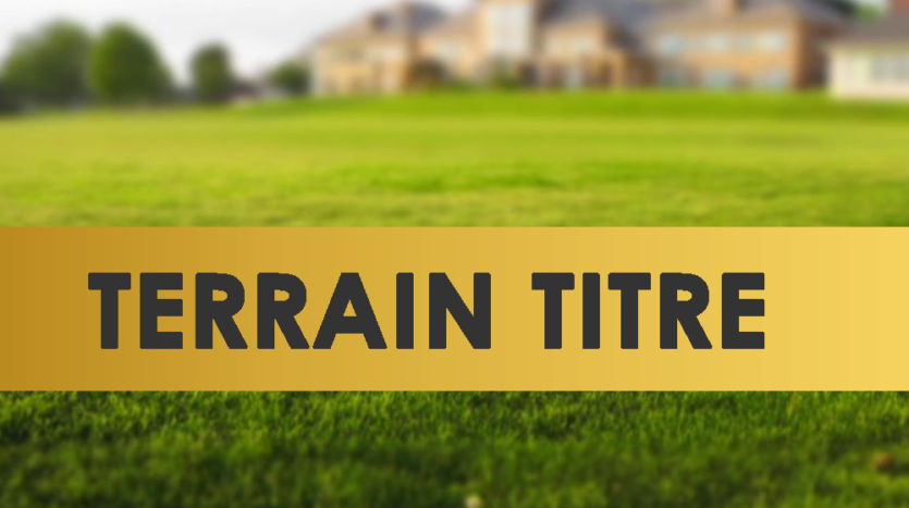 Terrain 500m² à vendre à Bonabéri Bonamikano