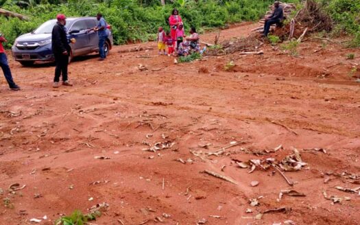 Terrain à vendre à Yaoundé Soa